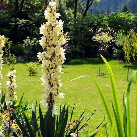 Kamratowo Ubytování v soukromí